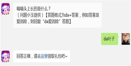喵喵头上长的是什么? 天天爱消除12月22日每日一题答案
